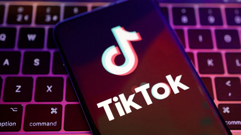 TIKTOK MARKETING LDH MEDIA 1