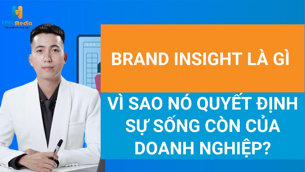 brand insight là gì